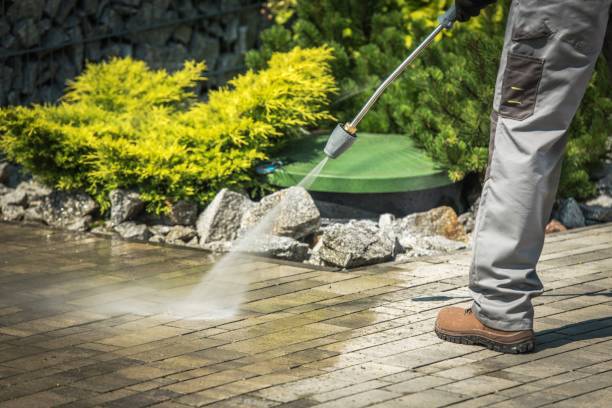 Best Boat and Dock Cleaning  in East Palatka, FL