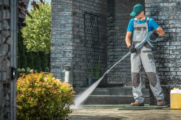 Best Roof Washing  in East Palatka, FL