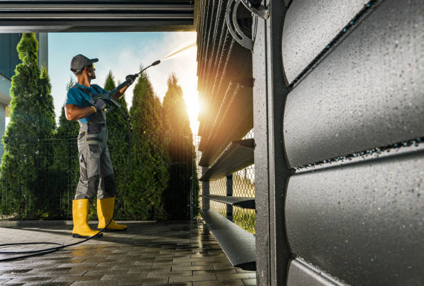 Best Solar Panel Cleaning  in East Palatka, FL